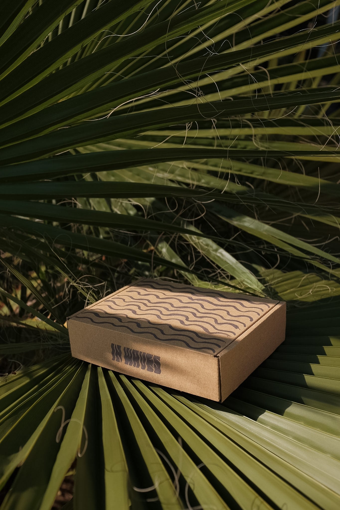 IN WAVES Gift Box — Branded Packaging Add-On